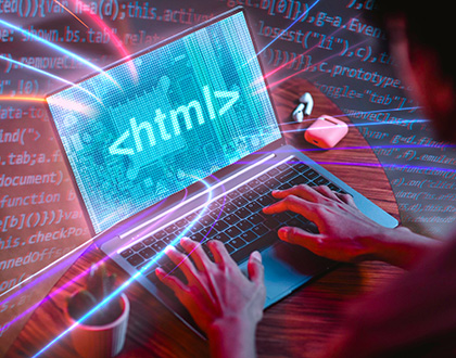 choose custom website developer