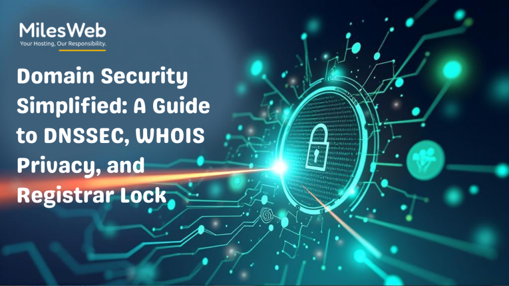 Learn why domain security matters.
